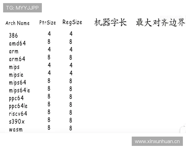 深入解析八秒违例规则的定义与判定标准